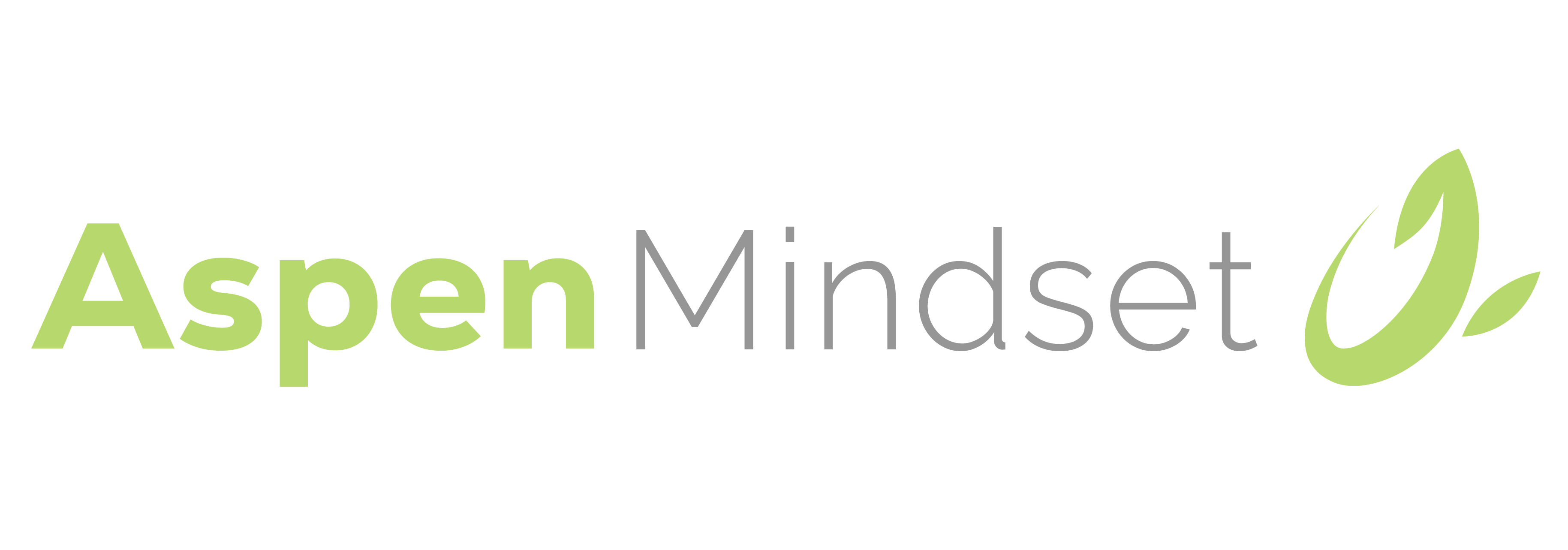  Aspen Mindset1